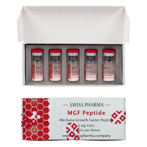 MGF Peptide – Muscle Growth & Recovery | Promote Tissue Repair